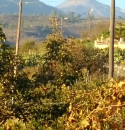 Taucho Сasa de vacaciones Costa Adeje (Tenerife)